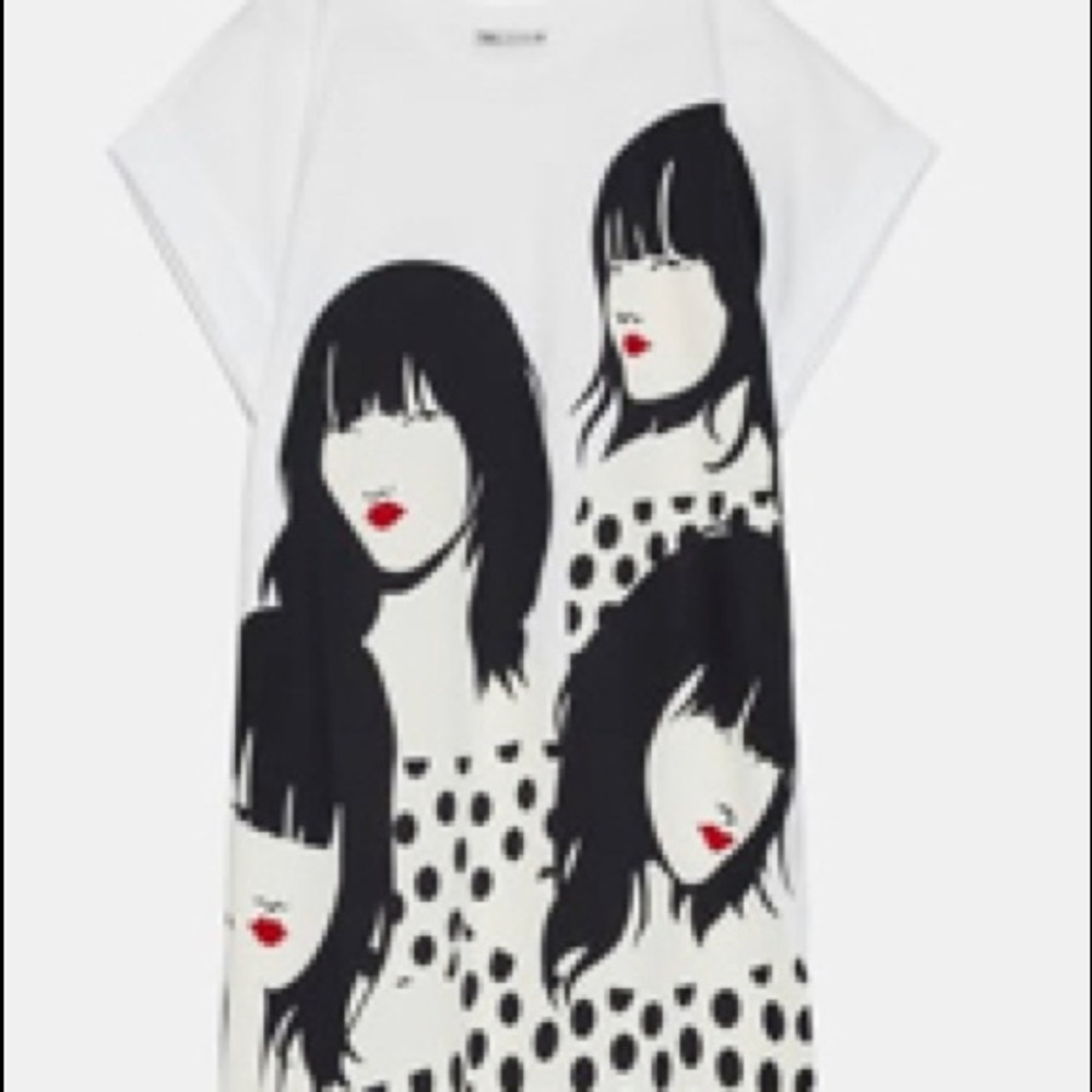 ZARA Shirt Dress